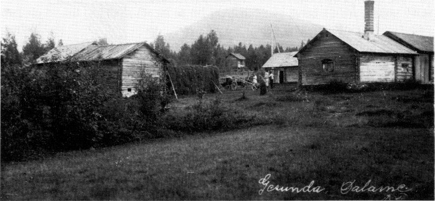 Lundgården i Gesunda