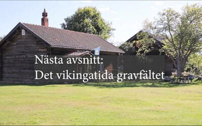 Guidad tur på det Vikingatida gravfältet 2(4)