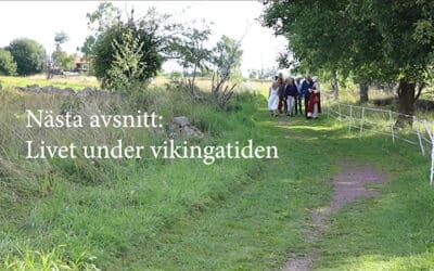 Guidad tur på det Vikingatida gravfältet 3(4)